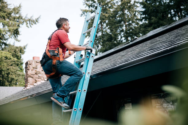 Best Chimney Flashing Repair  in Suamico, WI